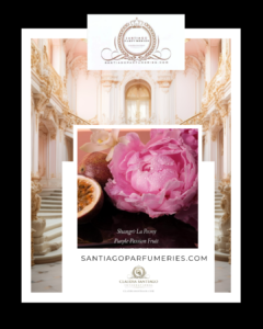 7-VICTORIA'S_ SECRET-Women-Fragrances-Perfume-Boutique-SantiagoParfumeries-ClaudiaSantiago-International